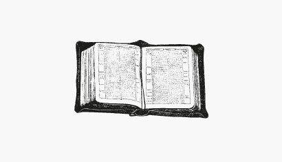 Glossar Lederbegriffe