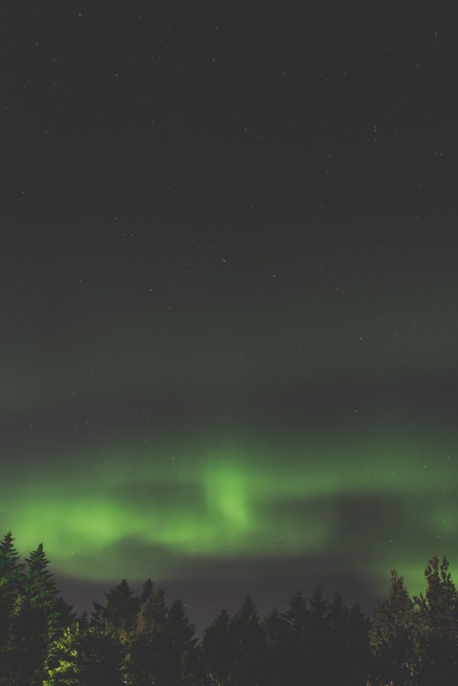 Reykjavic