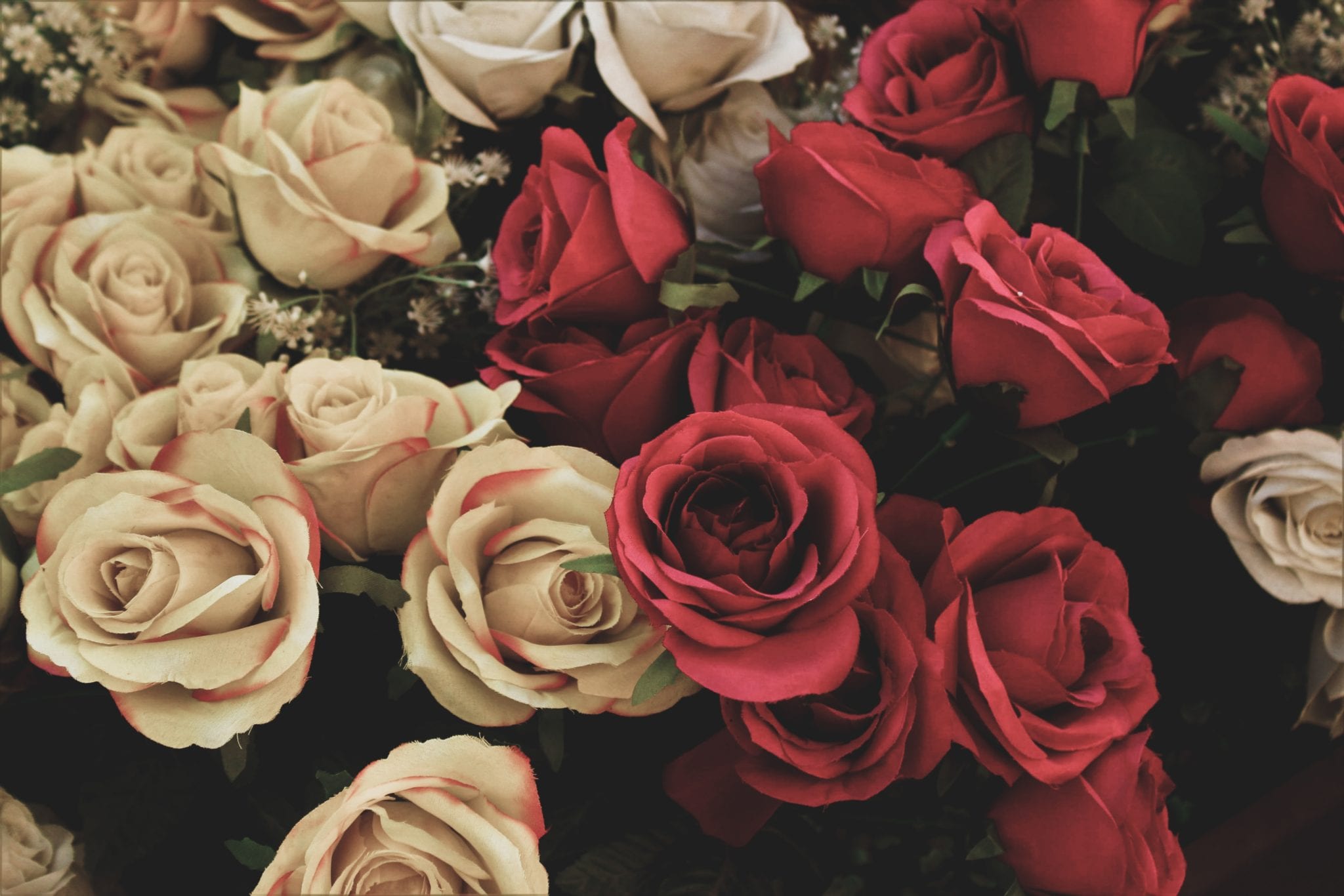 5 Fakten Zum Valentinstag Maxwell Scott Bags